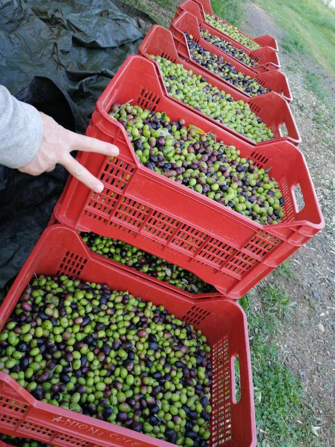 Il Podere Di Sole Roccastrada Exterior foto