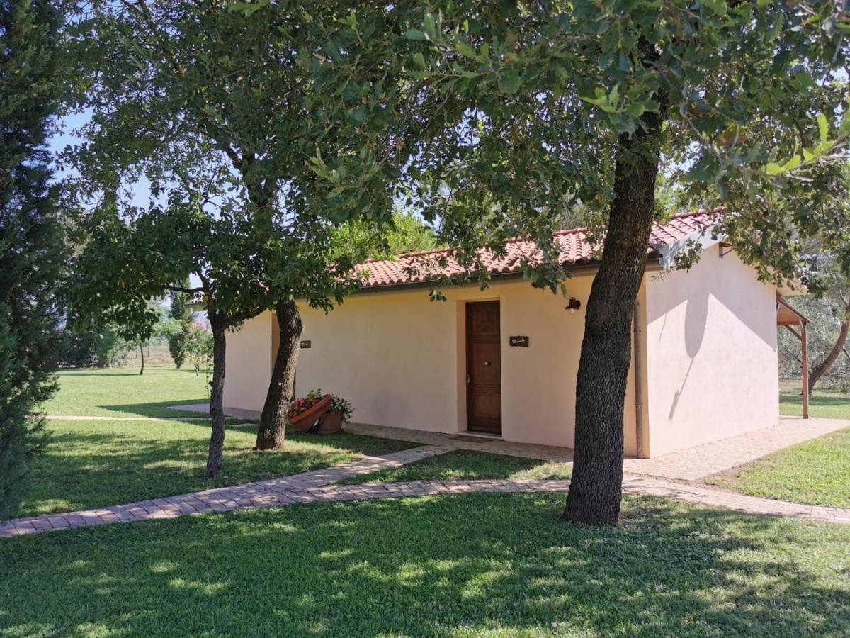 Il Podere Di Sole Roccastrada Exterior foto